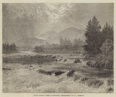 Chubascos Pasajeros, Bosque de Glentanner, Aberdeenshire de Ernest Albert Waterlow